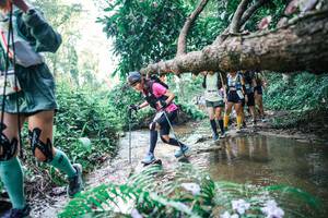 BIB: 
                            <button type="button" onclick="openModal(25461871)" class="btn btn-primary btn-sm float-right btn-popup" data-toggle="modal" data-target=".modal-high-quality">
                        <i class="fas fa-shopping-cart"></i> Add to Cart
                    </button>
                                            <button type="button" onclick="isThisMe(25461871, true)" class="btn btn-success btn-sm float-right btn-popup btn-isme hidden" data-toggle="tooltip" data-placement="bottom" title="นี่คือรูปของคุณใช่ไหม คลิกที่นี่เพื่อเอาเข้าอัลบั้ม">
                        <i class="fas fa-plus"></i> Add to album
                    </button>
                    <button type="button" onclick="isThisMe(25461871, false)" class="btn btn-warning btn-sm float-right btn-popup btn-isnotme hidden">
                        <i class="fas fa-ban"></i> Remove from album
                    </button>